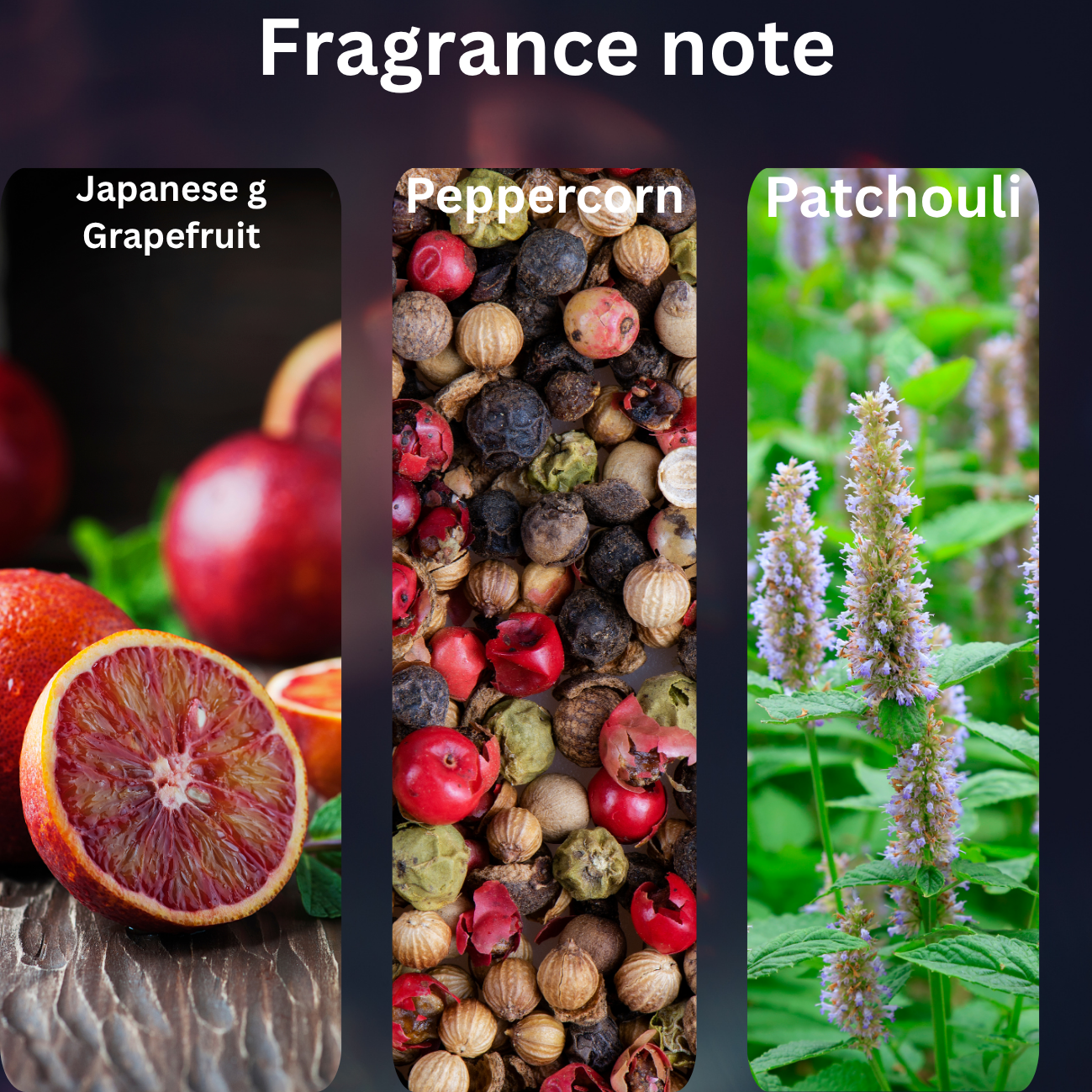 Aqua Charm fragrance notes for men by Levantine Botanica