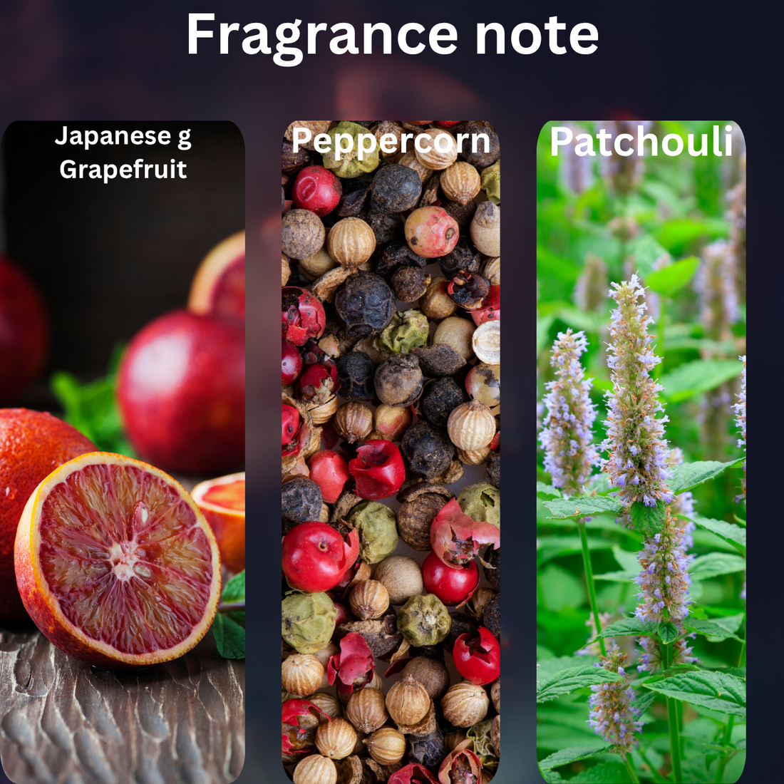 Aqua Charm fragrance notes for men by Levantine Botanica